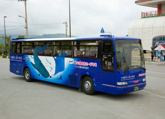 美ら海水族館を楽に楽しむ最適解はツアー利用