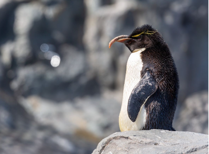 旭山動物園は行くべきか？まとめ