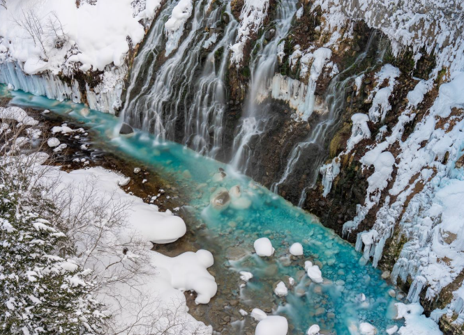 旭山動物園をもっと楽しむ！バスツアーで行くメリット