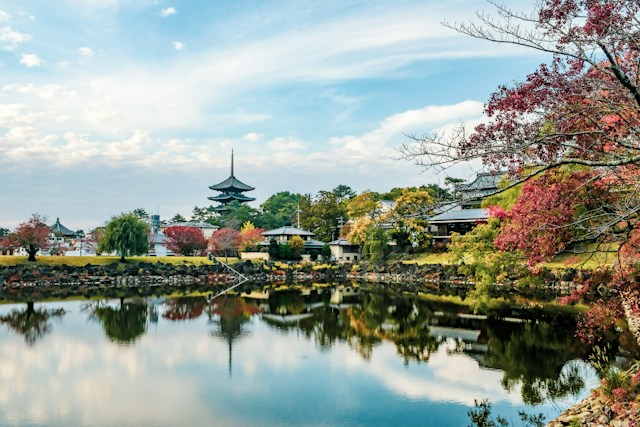 奈良公園の風景｜奈良ホテルとあわせて楽しみたい奈良観光
